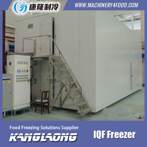 Hot Sale iqf blueberries industrial freezer made in China