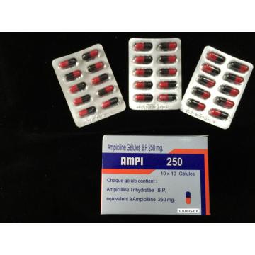 Ampicillin Capsule BP 250MG