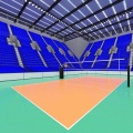 Pavimentazione sportiva in PVC Pavimentazione per campi da pallavolo