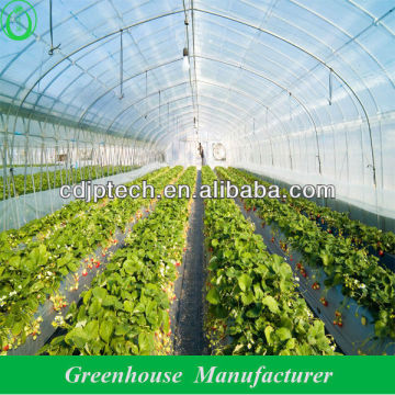 greenhouse tunnel