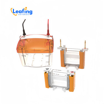 Hb Capillary Electrophoresis System Machine