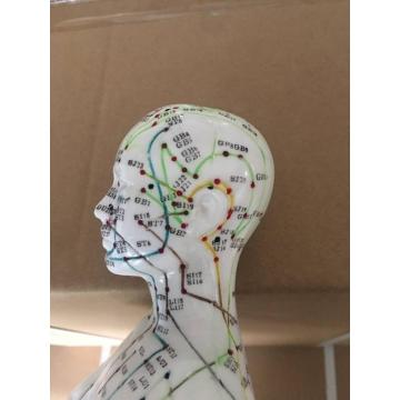 FEMALE ACUPUNCTURE MODEL