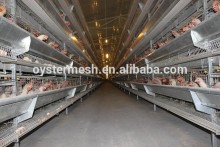 The Poultry Chicken Cage