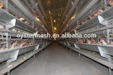 The Poultry Chicken Cage