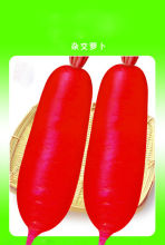 Red Big Thick Radish Seeds For Planting