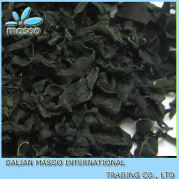 2013 Green Seaweed,wakame dried,seaweed,reasonable price in stock