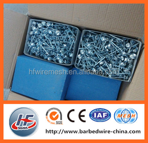 Best price and high quality roofing nails with umbrella head/metal roofing iron nail