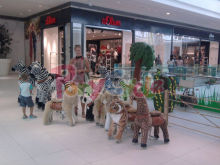 Pony Cycle Kis park animal