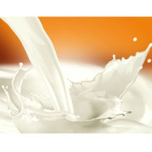 Cheese Dairy Products Import Export Agents Wanted