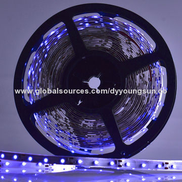 5050/3528 SMD Waterproof or Non-waterproof Blue Color LED Strip with 12V DC VoltageNew