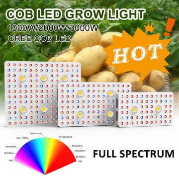 EU/US -Lager Lagerbestand COB LED Wachsen Licht