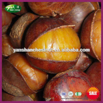 Organic Frozen Ringent Cooked Chestnut