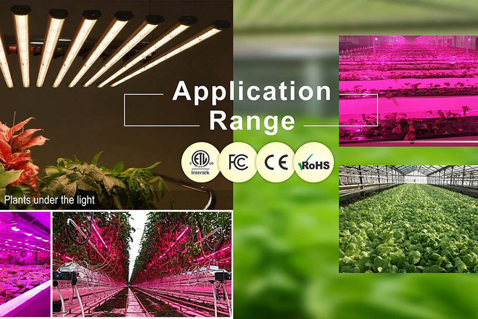 led grow light application