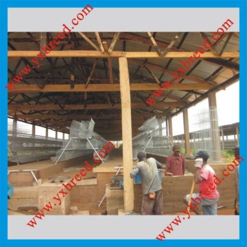 poultry farming equipment layer battery cages