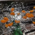 Embalagem de massa congelada mandarim de segmentos laranja