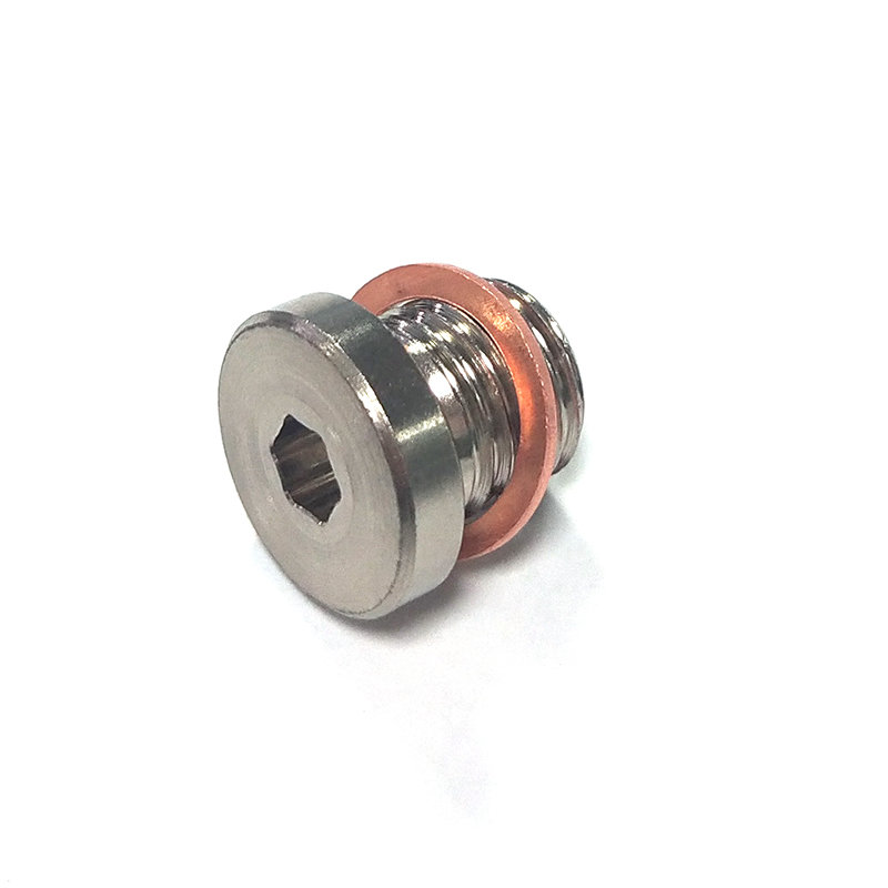 Oxygen Sensor Plug