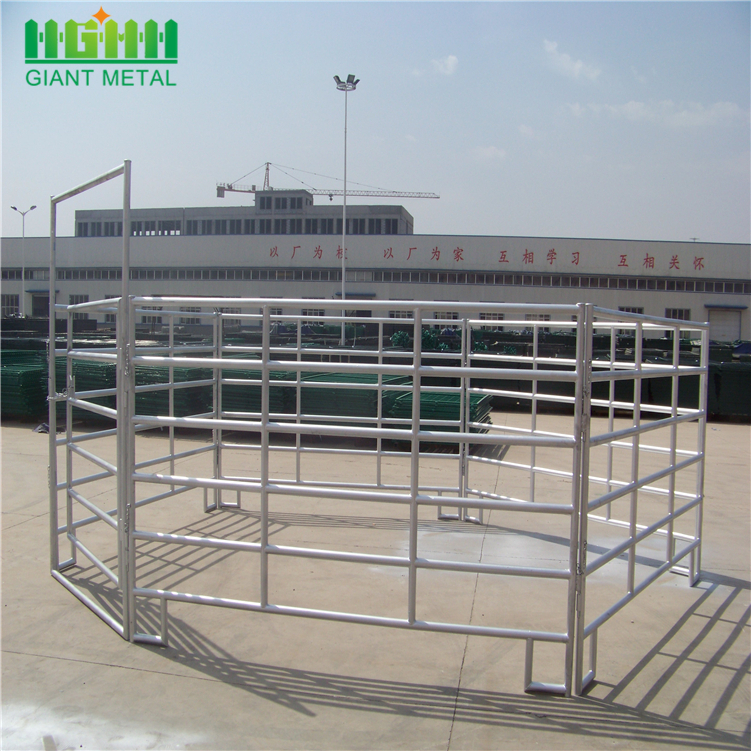 Factory Direct horse arena fencing with cheap price