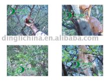 Natural Gum Arabic(Gum Acacia)