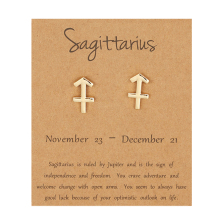 Gold and Silver Plated 12 Zodiac Sign Charm Earrings: Stylish Horoscope Jewelry for Women