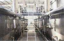 Vegetable Mesh-Belt Dryer/DW Series Mesh-Belt Dryer