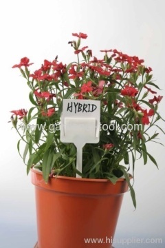 Plastic Diy Garden Plant Marker For Identify Plant Name?