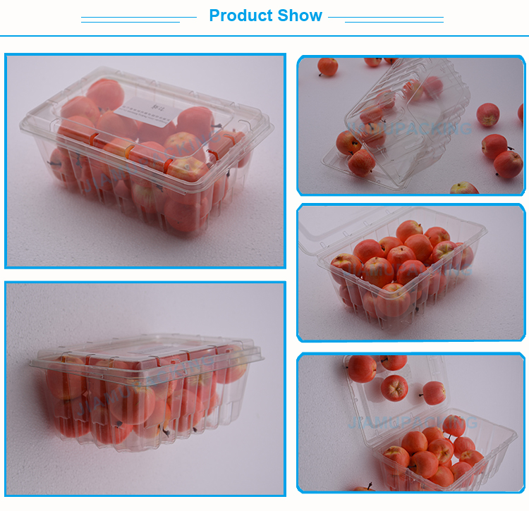 Jiamupacking OEM Plastic Fruit/Vegetable Clamshell Punnet