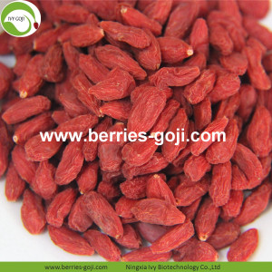 Rendah Gula Pemakanan Semulajadi Sweet Goji Beraneka Konvensional