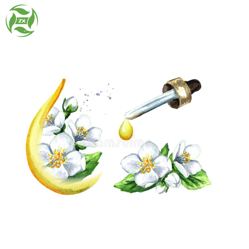 Flower Fruit Essential Oil Jasmine Essential Oil
