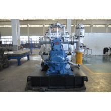 Low Pressure Condensing Steam Turbine