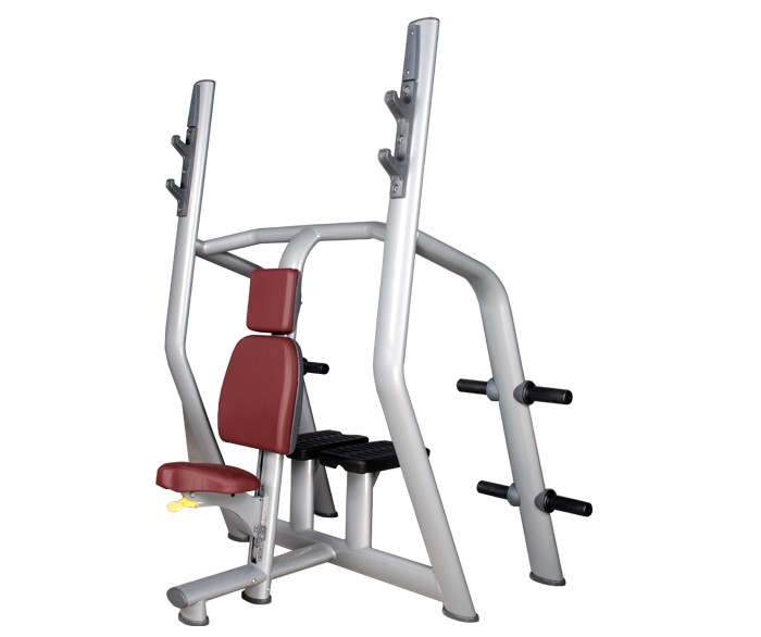 Hot Sale Fitness Equipment Vertical Bench (Luxury) with CE for Gym Building