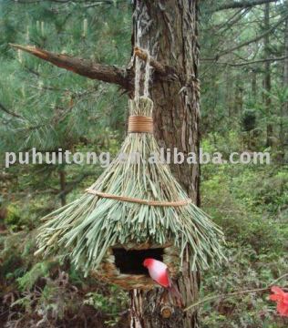 bird nest house