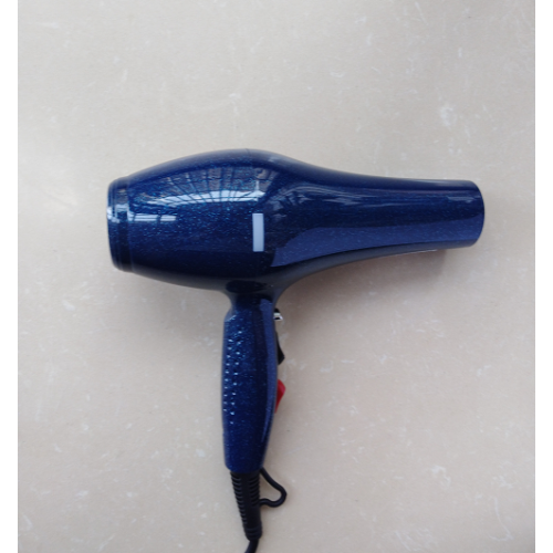 Beauty Hair Equipment Private Using Hair blower Drier