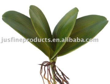 Artificial Orchid Leafs With Roots