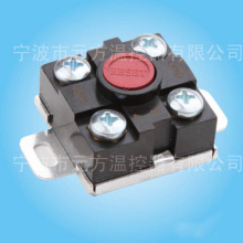 Manual Reset Water Heater Thermostats?