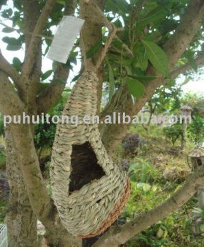 bird nest product