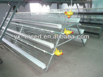 Half automatic Poultry Cage chicken 10000 feed line