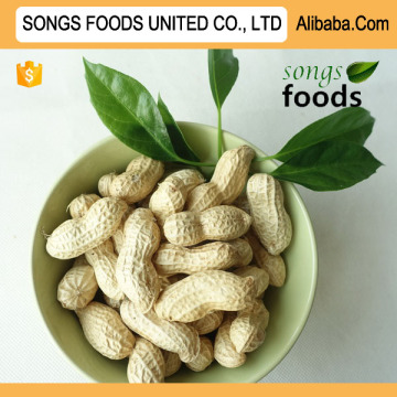 Agricultural Product Peanut Inshell New Crop
