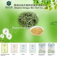 Healthy supplement GreenTea Extract 95% for capsules with free sample