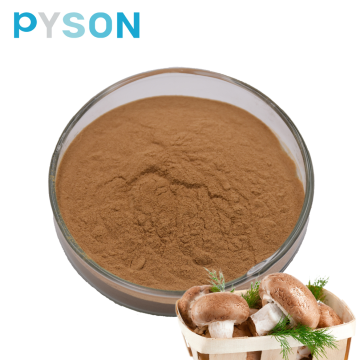 mushroom shiitake powder 50%