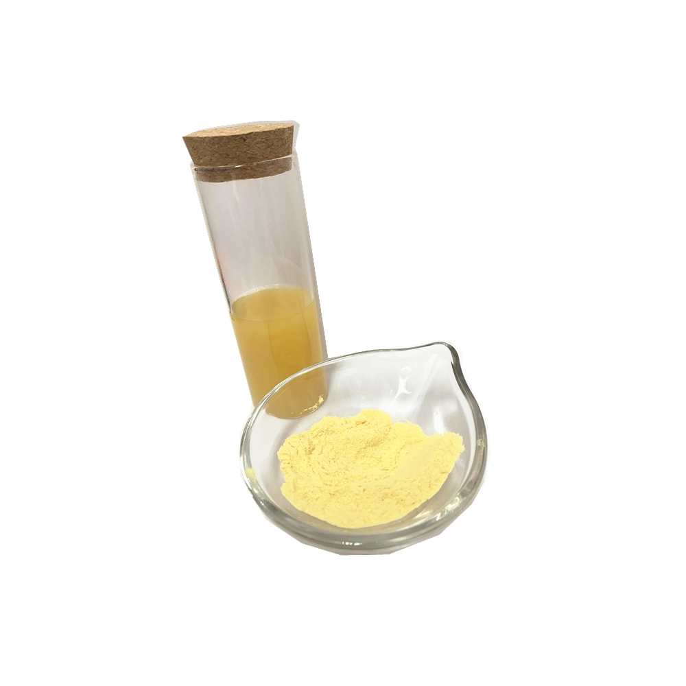 Pure Spray Dried Fruit Powder Juice Powder Passion Fruit Powder