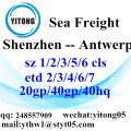 Shenzhen Sea Freight Shipping Agent to Antwerp