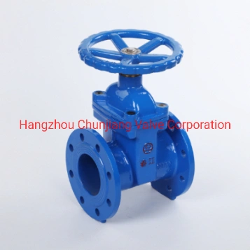 Hot Sale Ductile Iron Sulice Valve (Z45X)