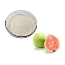 Hot Sale guava extract psidium guajava extract