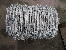 barbed wire export to worldwide/galvanized barbed wire/barbed iron wire