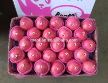 Fuji apples wholesale fruit prices