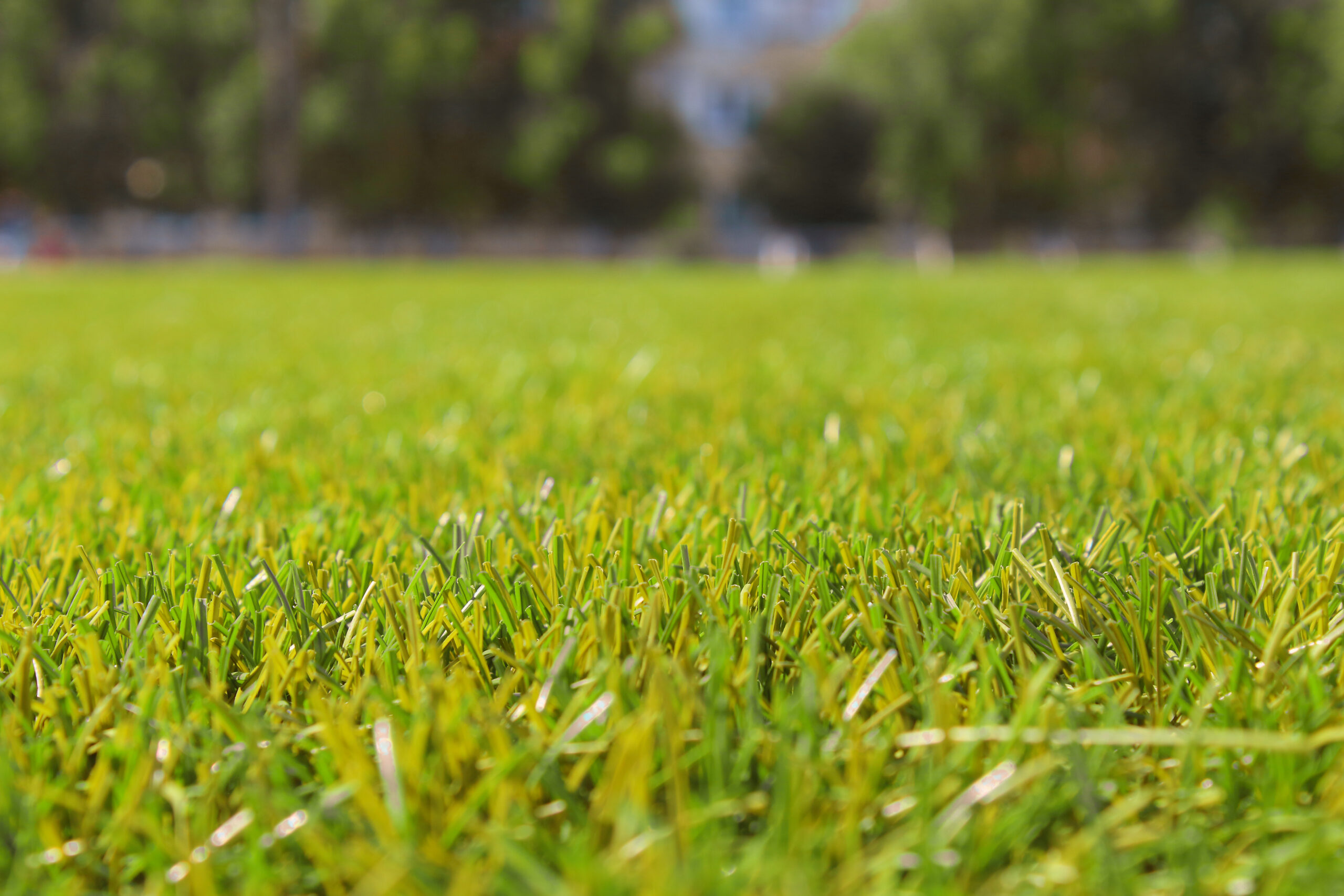 artificial grass price