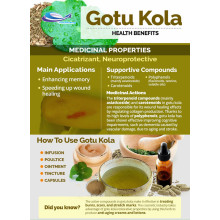 Gotu Kola Extract Powder Used For powder 10:1