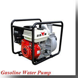 BISON(CHINA)Alibaba Trade Assurance Black Max Portable Generator