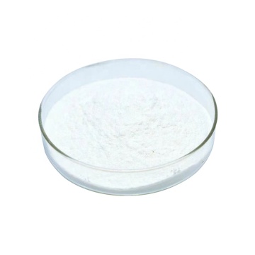 huperzia serrata huperzine extract 98% huperzine-A powder