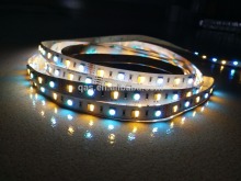 New product 24V 5 colors cw ww 2in 1 led flexible led strip light smd5050 RGB WW+CW 12v strip lights